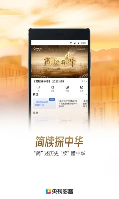 手游5173与下载央视影音客户端官方下载，专业级工具深度解析与定义